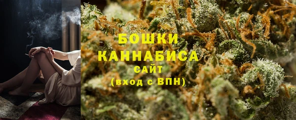 амф Аркадак