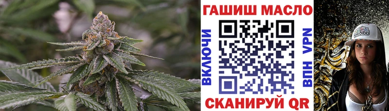 Дистиллят ТГК THC oil  Купить закладки  Магас 