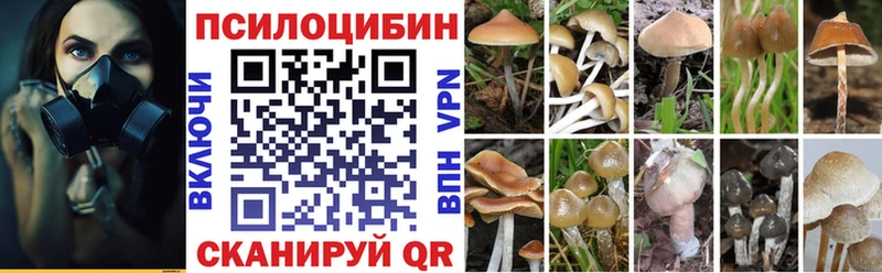 Купить  Магас  Псилоцибиновые грибы Magic Shrooms 
