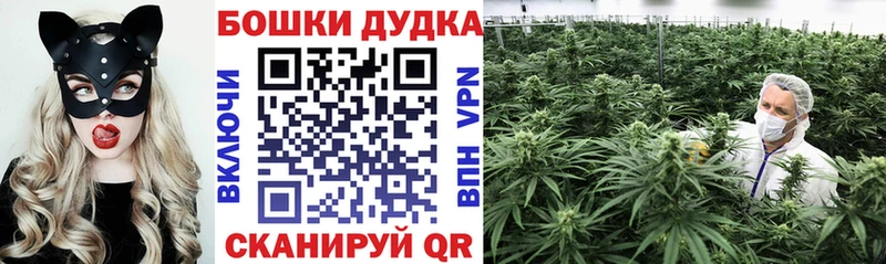 Бошки марихуана Amnesia  Купить закладки  Магас 